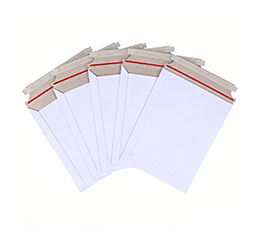 Postal Delivery Envelope